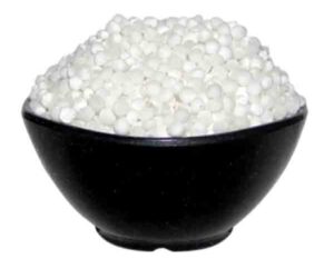 Sago