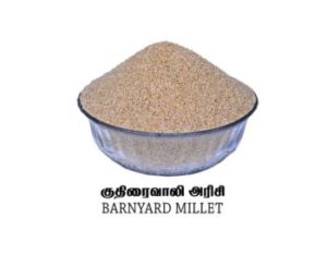 Barnyard Millet