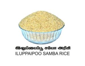 Iluppaipoo Samba Rice