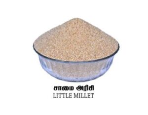 Little Millet